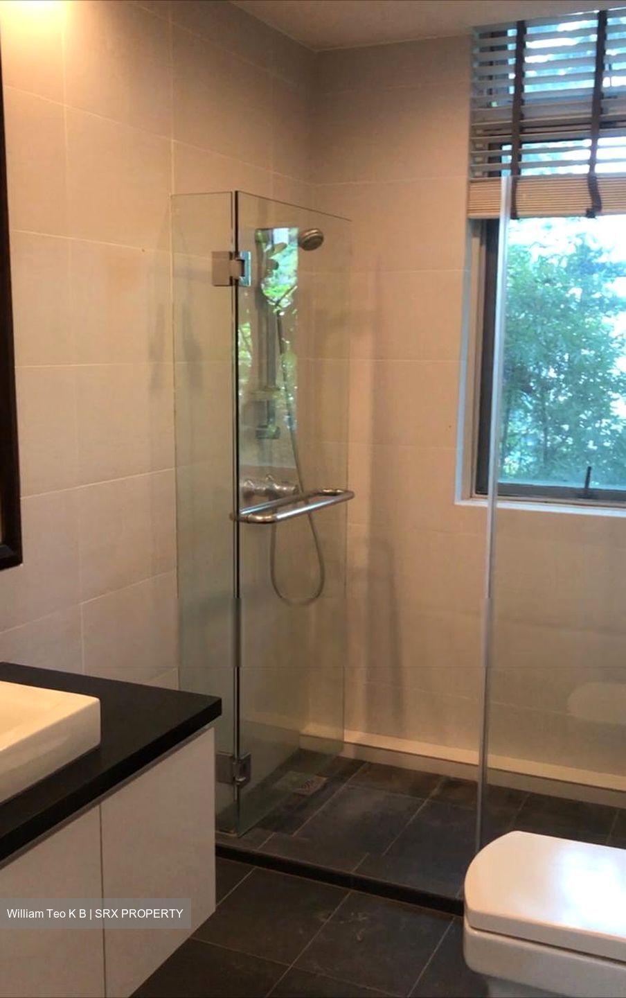 Nassimville (D10), Apartment #480601421